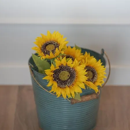 Lejlighed Simple&charming Guest Ponta Delgada