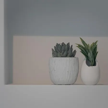 Simple&charming Guest *