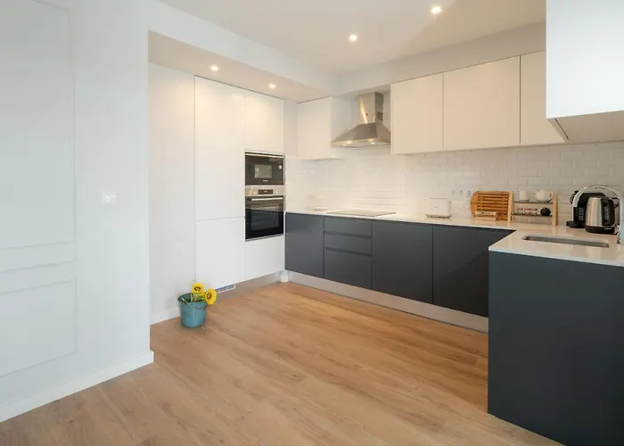 Simple&charming Guest Ponta Delgada