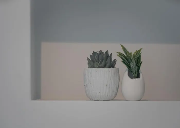 Simple&charming Guest *