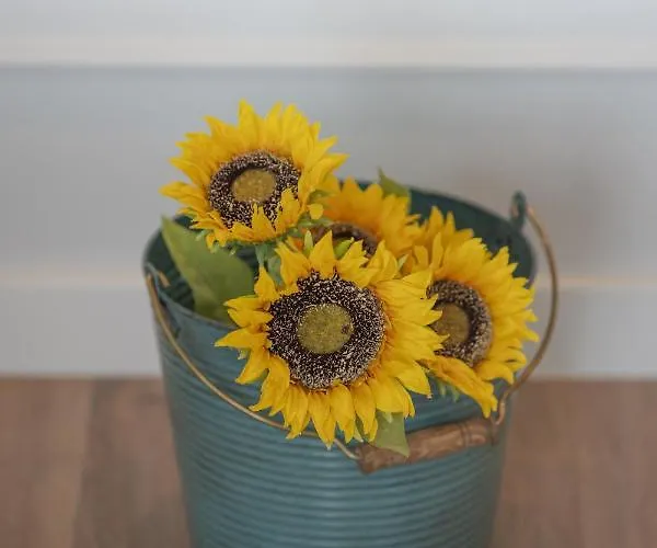 Apartman Simple&charming Guest Ponta Delgada